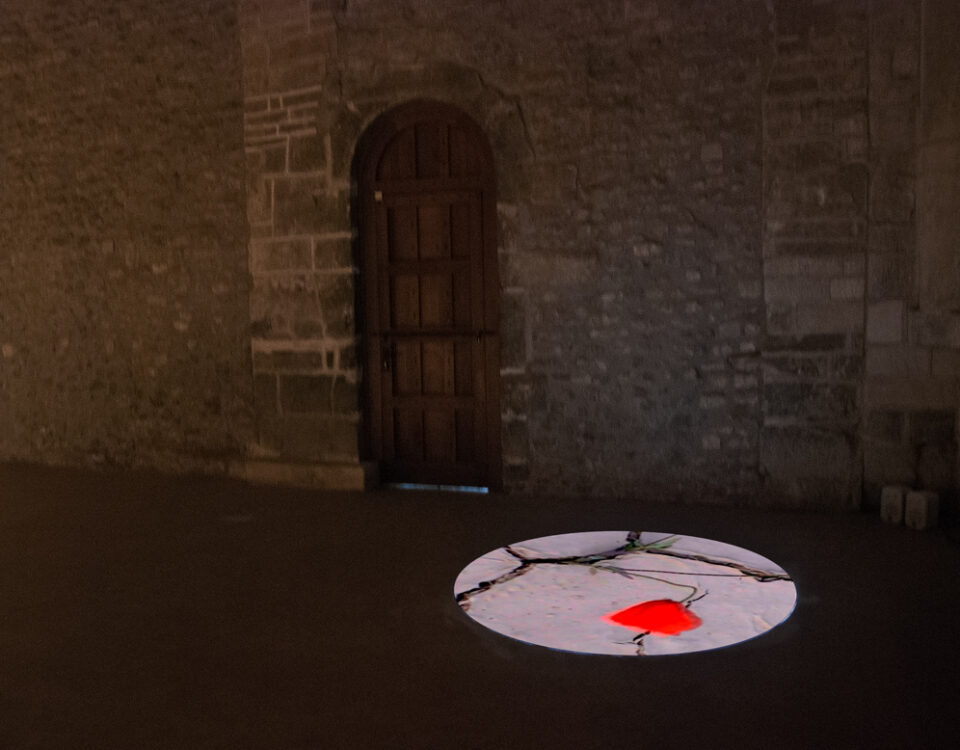 Gertrud Riethmüller, Visual Artist installation, video, sound, performances. 2018 "Niemands Mohn", Metz.