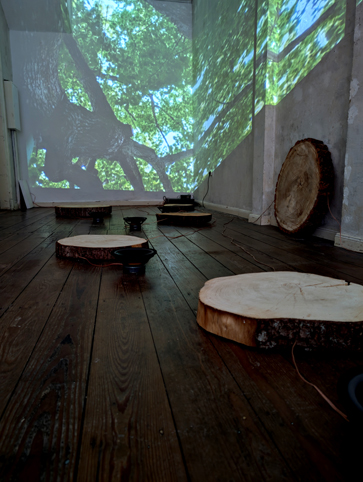 Gertrud Riethmüller, Visual Artist installation, video, sound, performances. „Aus der Cloud einer Linde“, 8 Kanal Klang+VideoInstallation, Nachtspeicher 23 , Hamburg