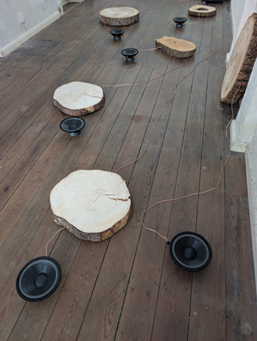 Gertrud Riethmüller, Visual Artist installation, video, sound, performances. „Aus der Cloud einer Linde“, 8 Kanal Klang+VideoInstallation, Nachtspeicher 23 , Hamburg