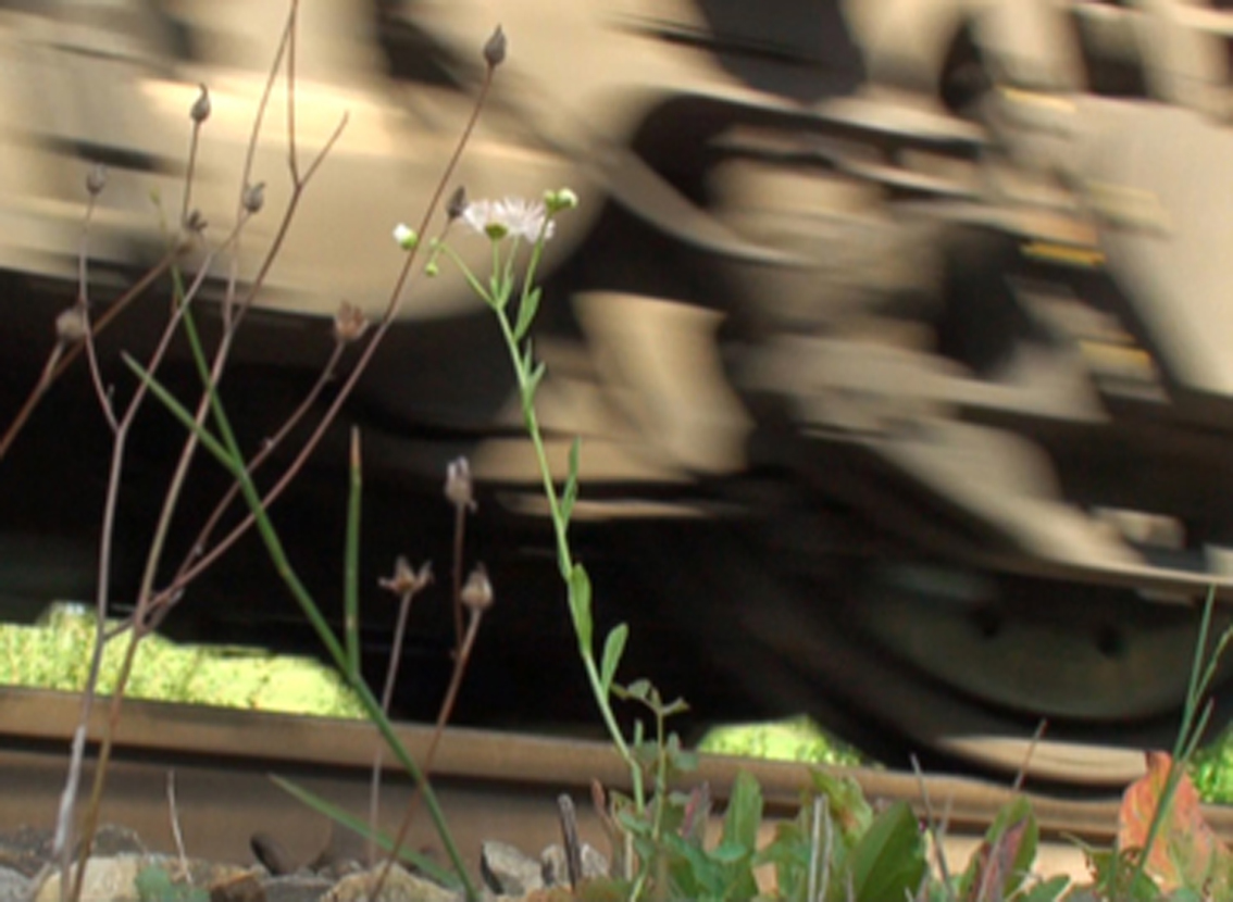 Gertrud Riethmüller, Visual Artist installation, video, sound, performances. Windsbraut, 2023, Lagerschuppen des Ausstellwerks Huglfing