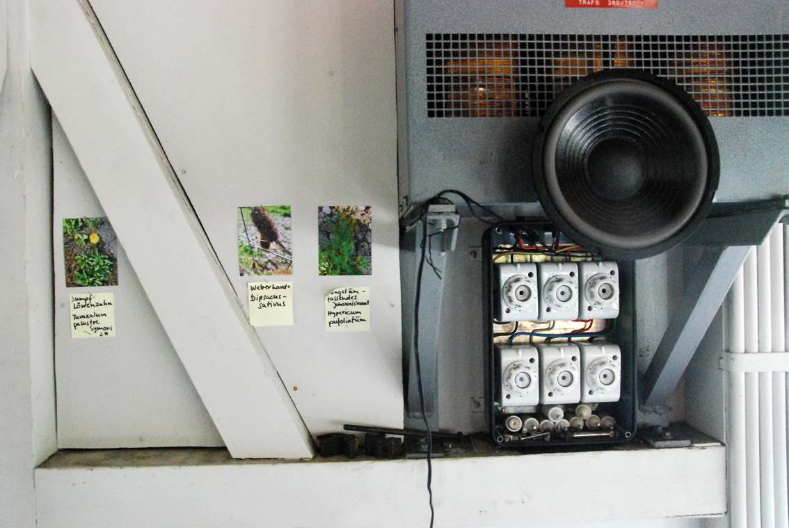 Gertrud Riethmüller, Visual Artist installation, video, sound, performances. Neophyt, 2023, 8 Kanal Klanginstallation im Stellwerk Huglfing.