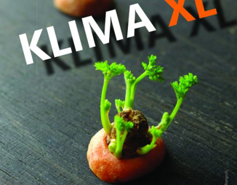 Gertrud Riethmüller, Visual Artist installation, video, sound, performances. 2025, Klima XL, Ausstellung Saarländisches Künstlerhaus