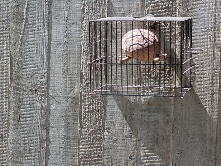 Gertrud Riethmüller, Visual Artist installation, video, sound, performances, La Vendre, 2025