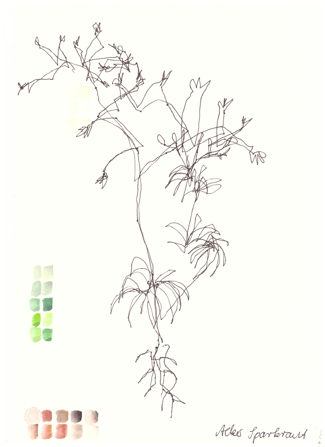 Gertrud Riethmüller, Visual Artist- installation, video, sound, performances, Verlorene Form, 2022