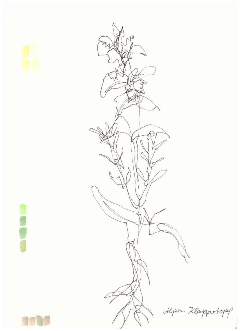 Gertrud Riethmüller, Visual Artist- installation, video, sound, performances, Verlorene Form, 2022