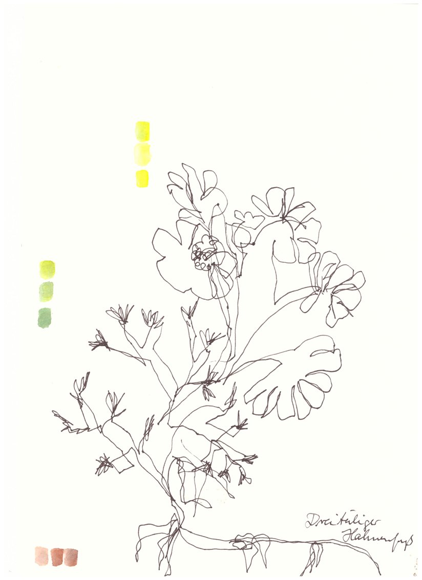 Gertrud Riethmüller, Visual Artist- installation, video, sound, performances, Verlorene Form, 2022