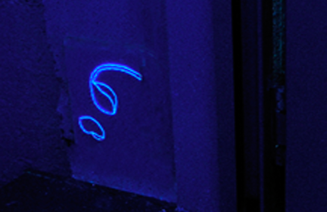 Gertrud Riethmüller, Visual Artist installation, video, sound, performances, Boote, Schoten-Schalen-2000