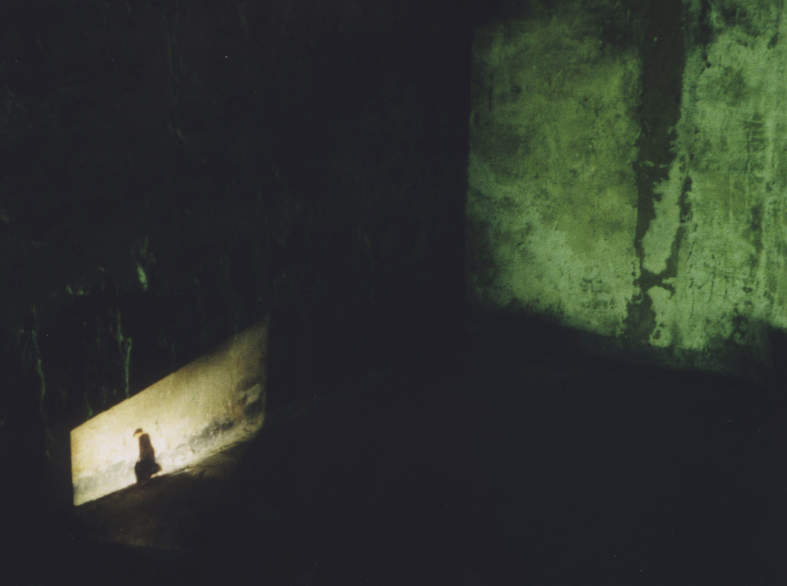 Gertrud Riethmüller, Visual Artist installation, video, sound, performances, Wasser tragen zum Fluss, 1998