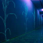 Gertrud Riethmüller, Visual Artist installation, video, sound, performances, Feld-2005