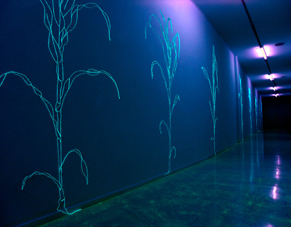 Gertrud Riethmüller, Visual Artist installation, video, sound, performances, Feld-2005