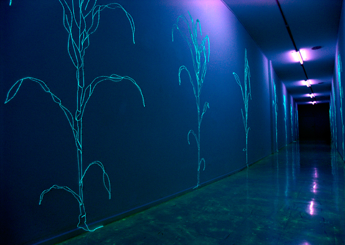 Gertrud Riethmüller, Visual Artist installation, video, sound, performances, Feld-2005