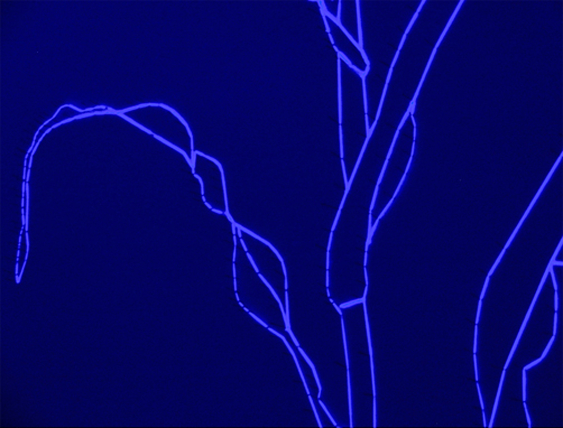 Gertrud Riethmüller, Visual Artist installation, video, sound, performances, Feld-2005