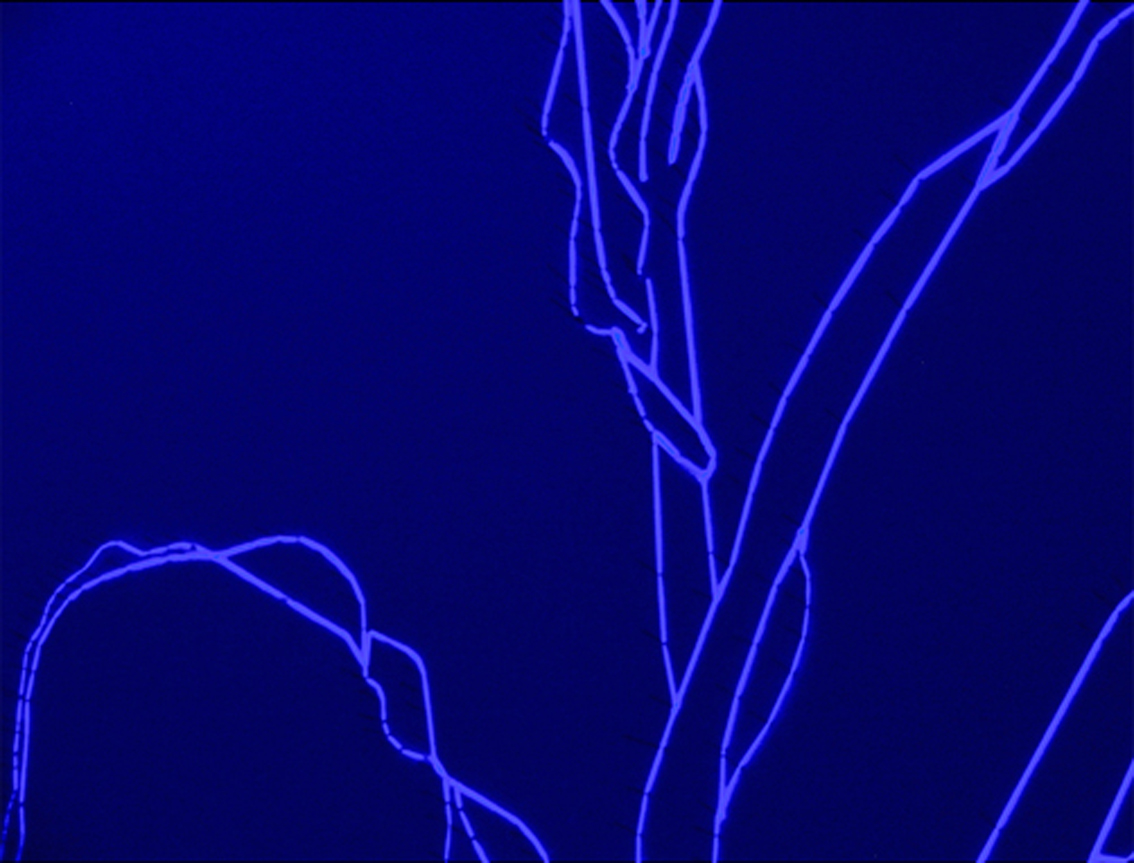 Gertrud Riethmüller, Visual Artist installation, video, sound, performances, Feld-2005