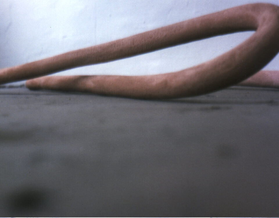 Gertrud Riethmüller, Visual Artist installation, video, sound, performances, Knopfdose, Codierte Schrift, 2005