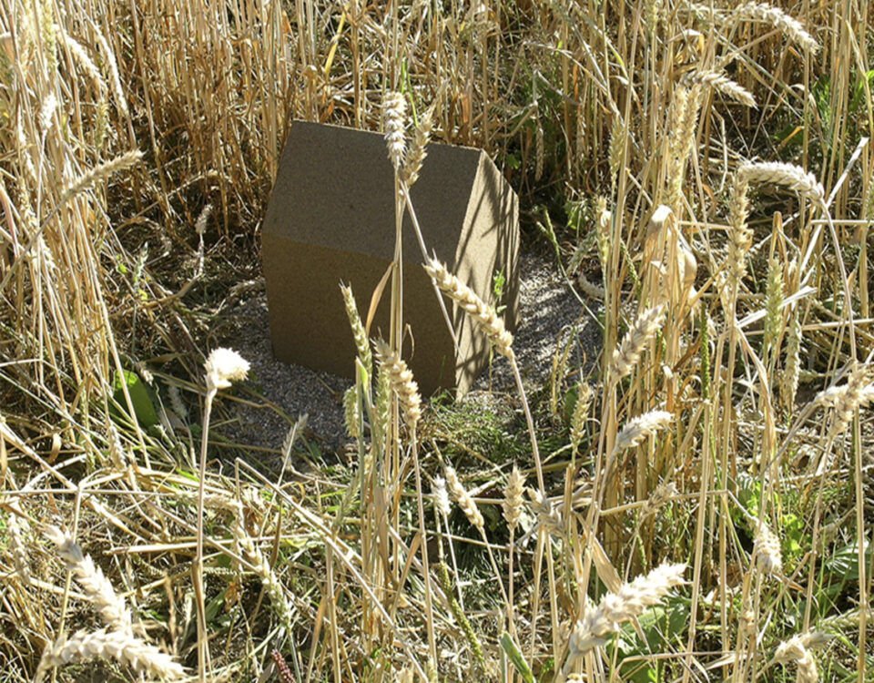 Gertrud Riethmüller, Visual Artist installation, video, sound, performances, Kunst im Park Burg Namedy