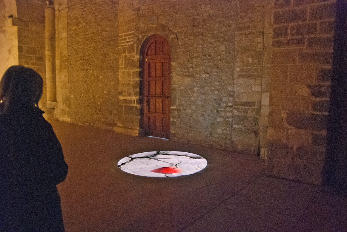 Gertrud Riethmüller, Visual Artist installation, video, sound, performances. 2018 "Niemands Mohn", Metz.