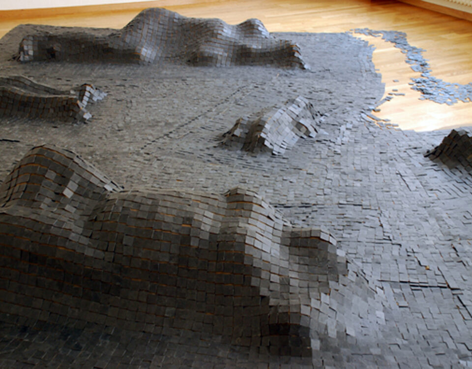 Gertrud Riethmüller, Visual Artist installation, video, sound, performances, Teppich-2009