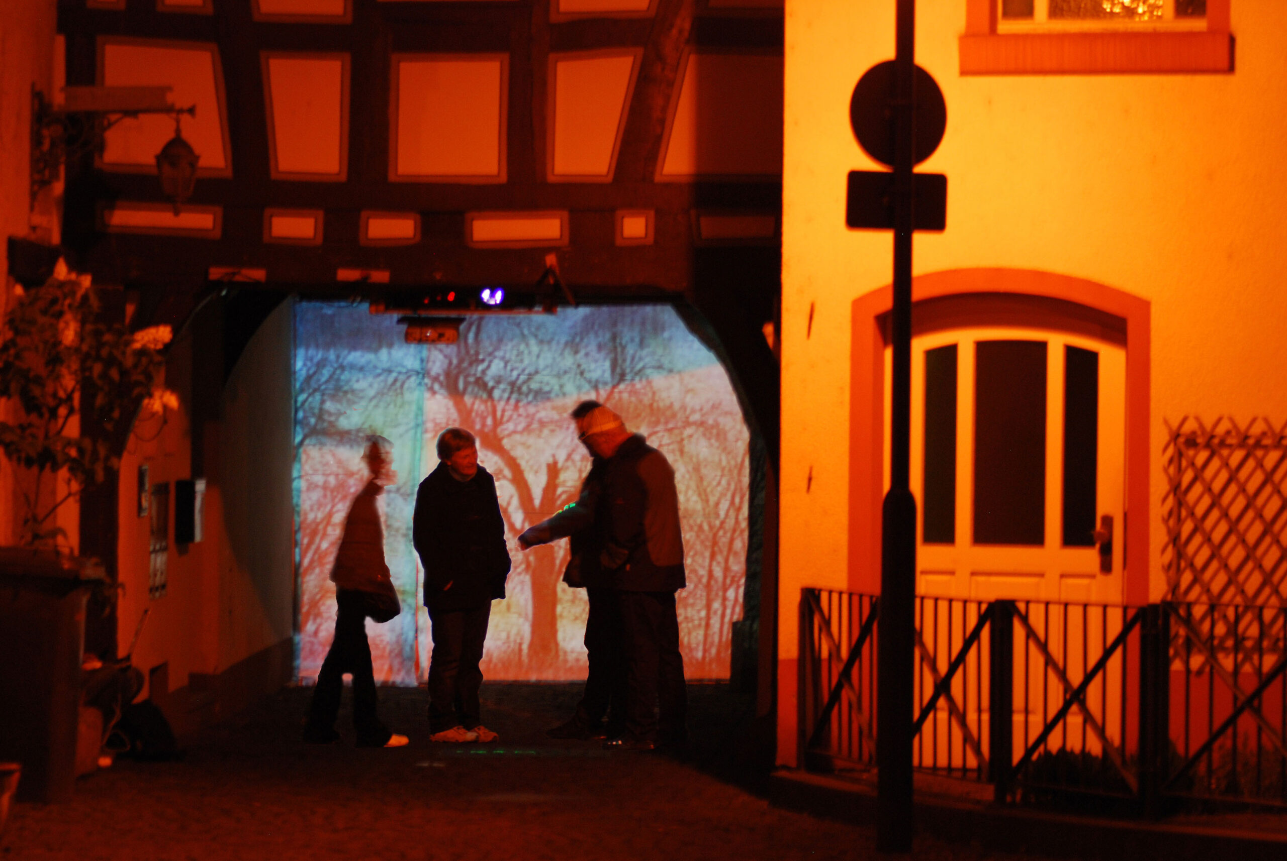 Gertrud Riethmüller, Visual Artist installation, video, sound, performances, Wortregen-2010