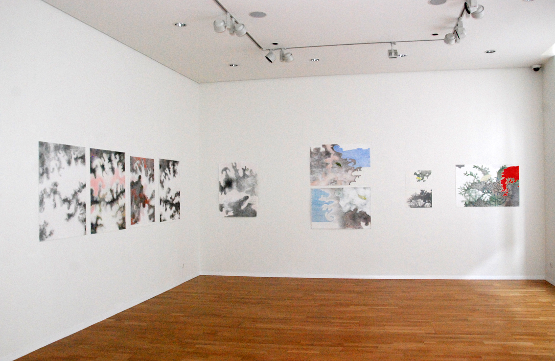 Gertrud Riethmüller, Visual Artist installation, video, sound, performances, driften, Saarländisches Künstlerhaus 2016