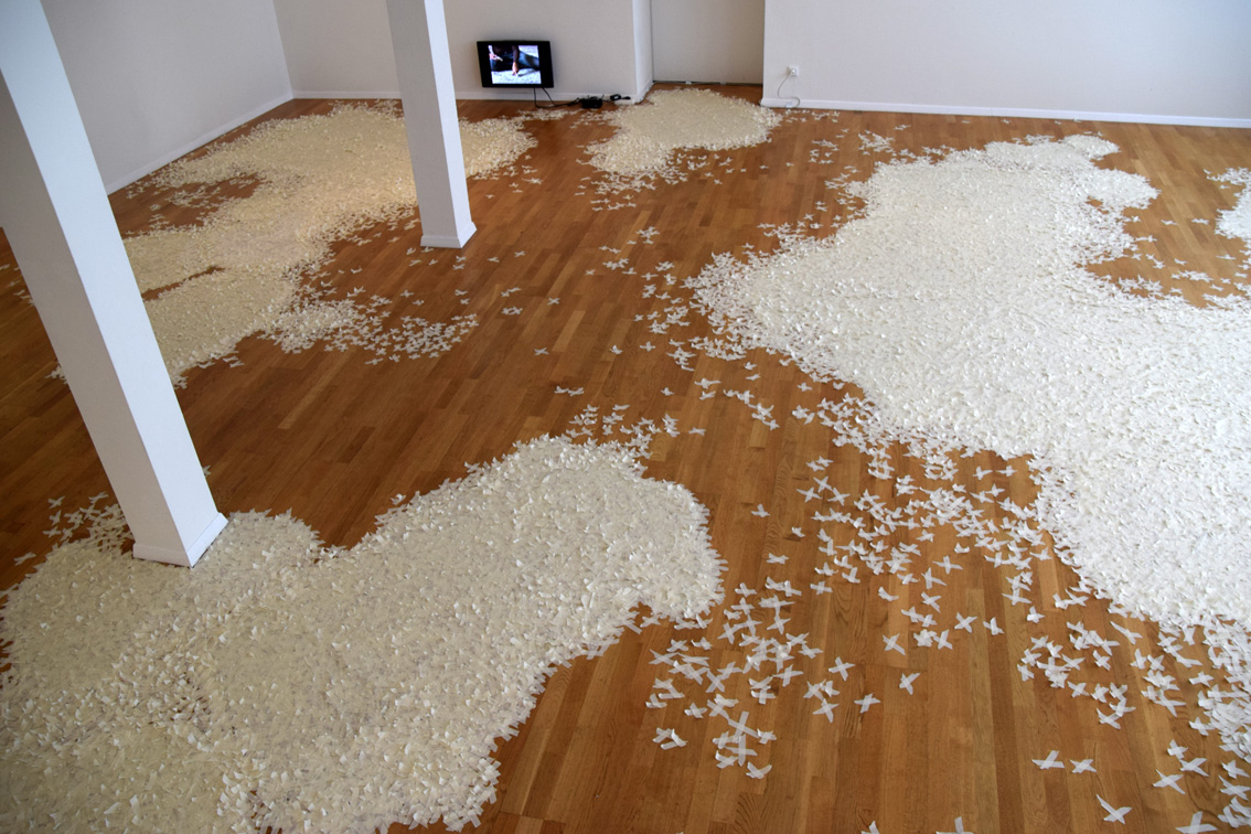 Gertrud Riethmüller, Visual Artist installation, video, sound, performances. Ein Kragen - ueber-zeichnet 2016