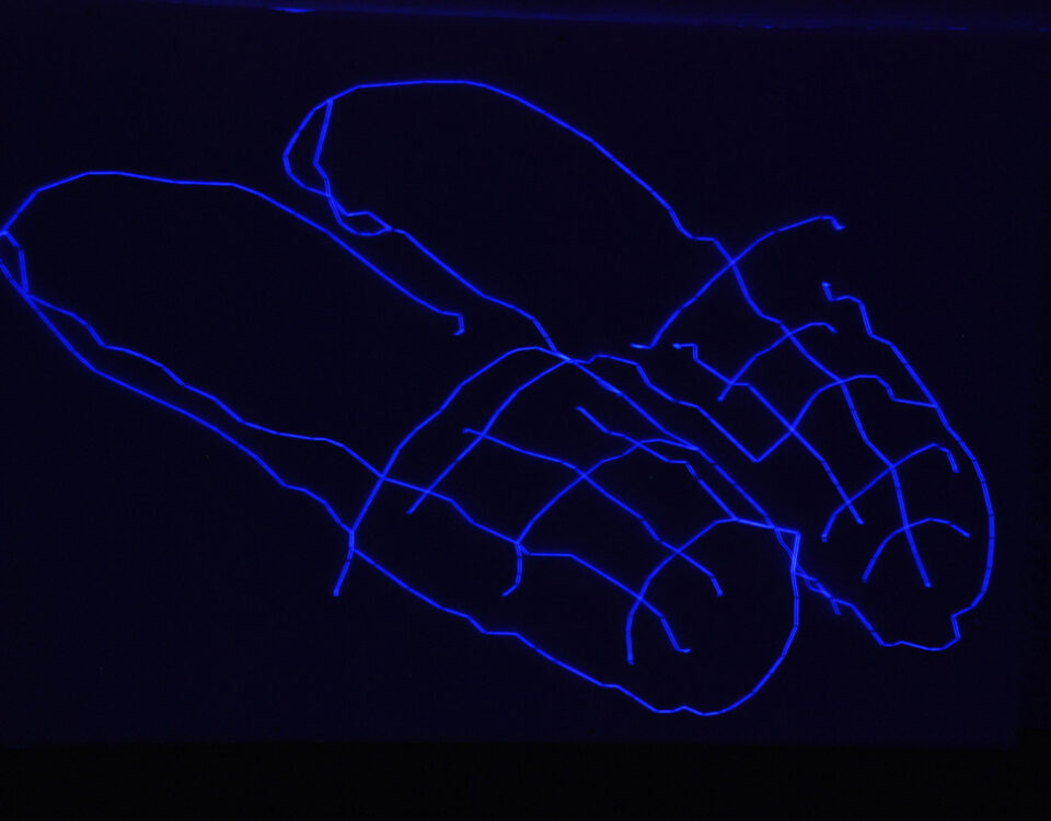 Gertrud Riethmüller, Visual Artist installation, video, sound, performances, Apislazuli-2009