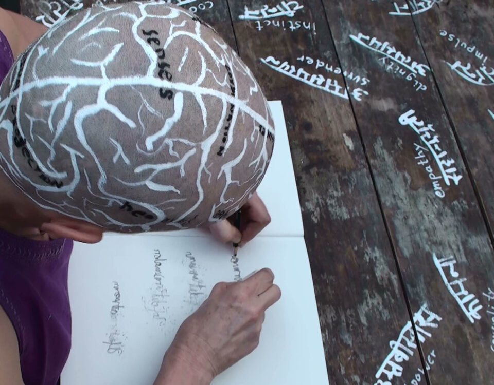 Gertrud Riethmüller, Visual Artist installation, video, sound, performances, brainmap, 2010