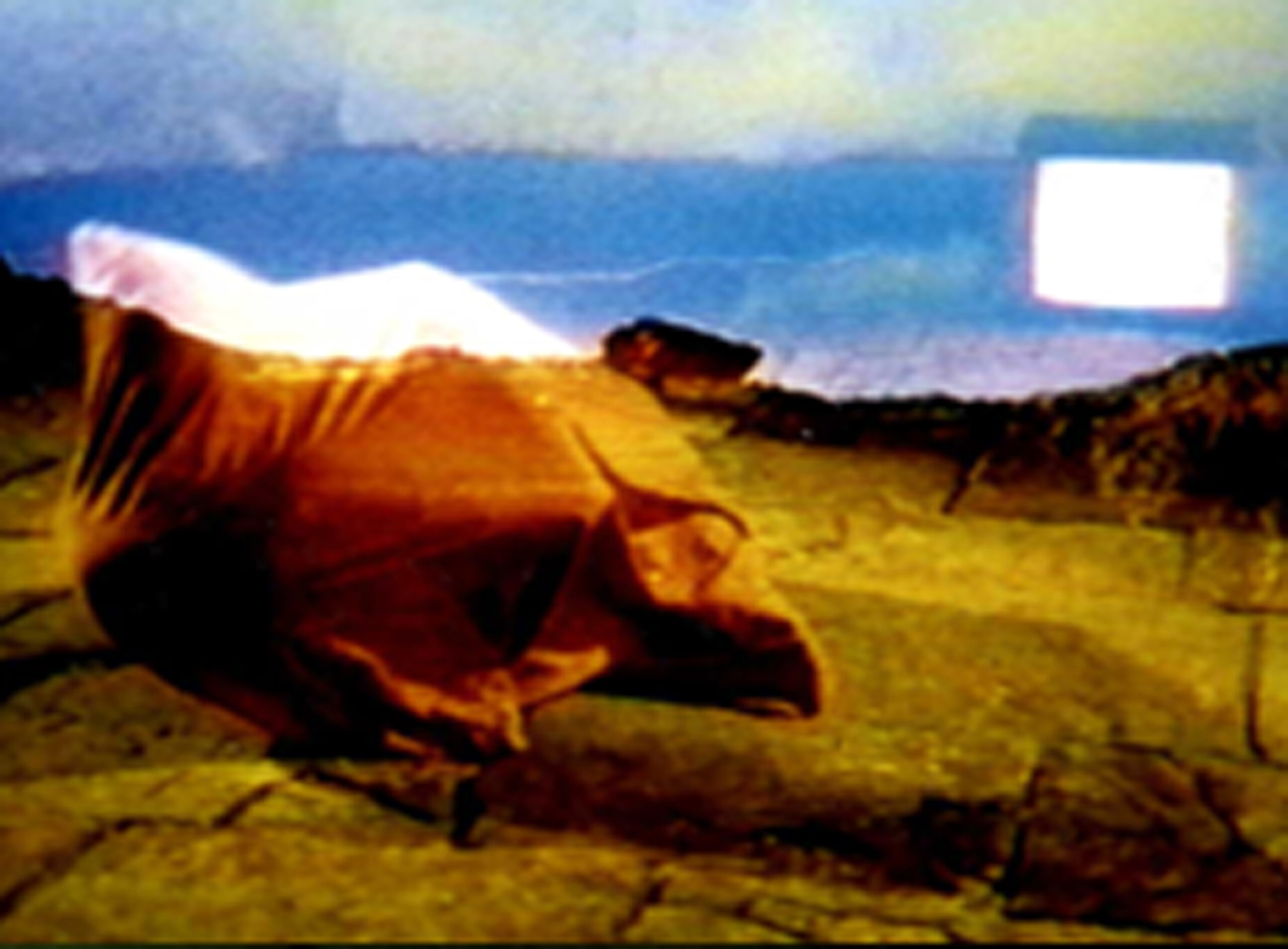 Gertrud Riethmüller, Visual Artist installation, video, sound, performances, dura mater, 2000