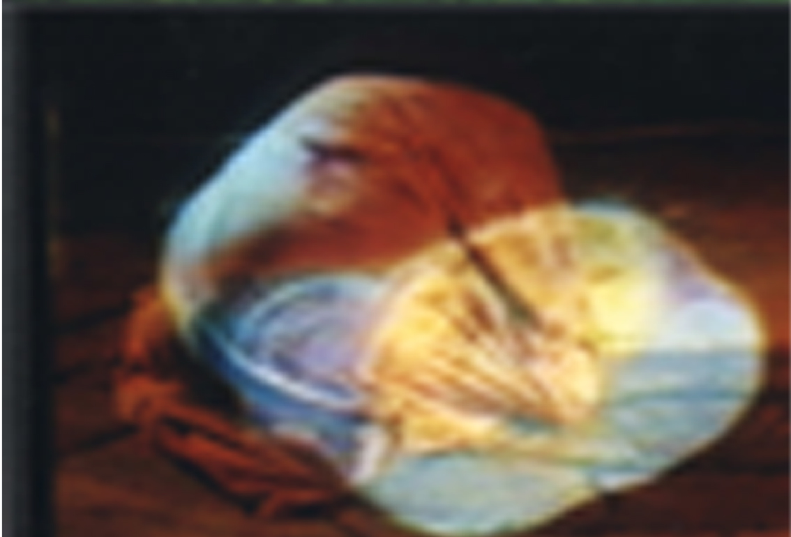 Gertrud Riethmüller, Visual Artist installation, video, sound, performances, dura mater, 2000