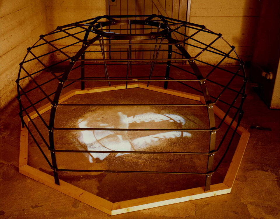 Gertrud Riethmüller, Visual Artist installation, video, sound, performances, Falle, 1998