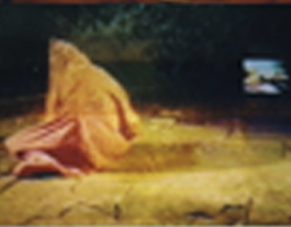 Gertrud Riethmüller, Visual Artist installation, video, sound, performances, zwischen botschaft und erinerung, 2000