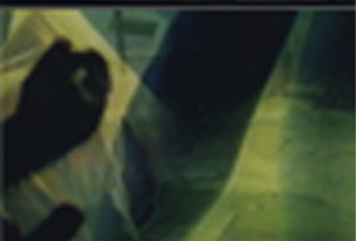 Gertrud Riethmüller, Visual Artist installation, video, sound, performances, zwischen botschaft und erinerung, 2000