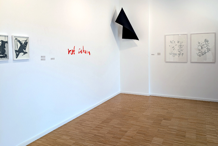 Gertrud Riethmüller, Visual Artist installation, video, sound, performances, SKB Ausstellung, Saarlouis 2026