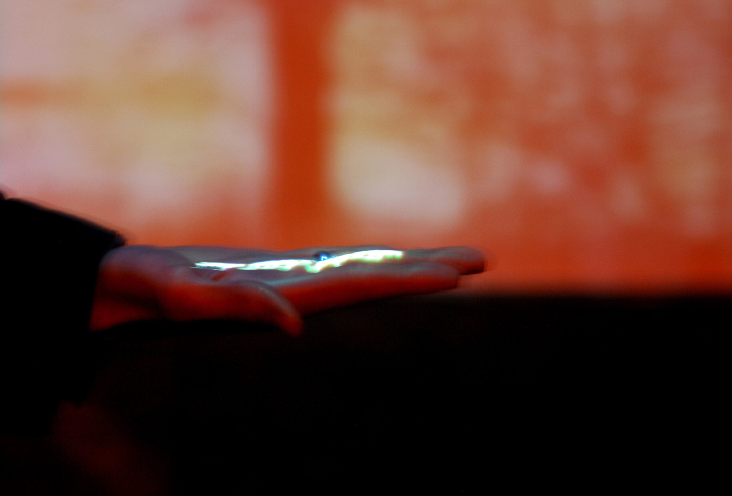 Gertrud Riethmüller, Visual Artist installation, video, sound, performances, Wortregen-2010